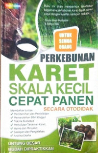 Perkebunan karet skala kecil cepat panen secara otodidak