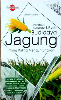 Panduan Lengkap dan Praktis Budidaya Jagung yang Paling Menguntungkan