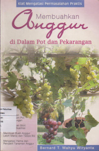 Image of Membuahkan anggur didalam pot dan perkarangan