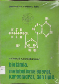 Image of Biokimia Melabolisme Energi Karbohidrat Dan Lipid
