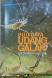 Budidaya udang galah sistem monokultur