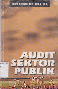 Audit sektor publik