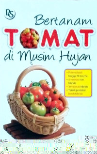 Bertanam tomat di musim hujan