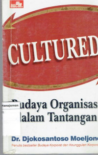 Budaya oarganisasi dalam tantangan. S2