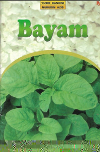 Bayam